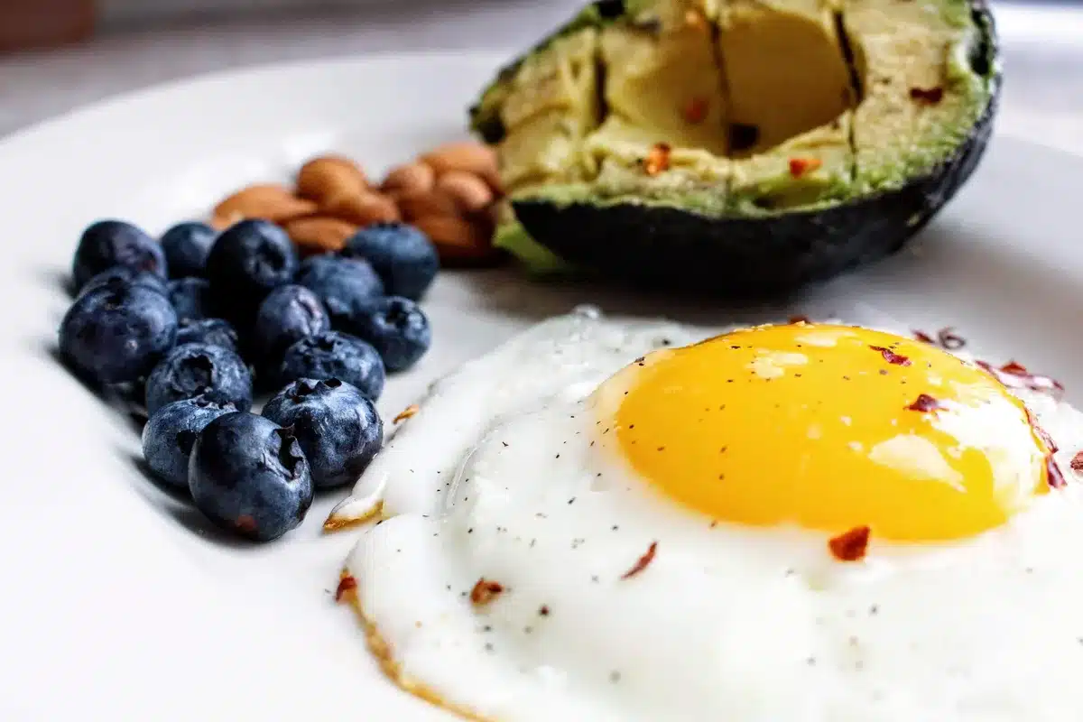 Variété d'aliments riches en protéines, glucides et lipides pour équilibrer son alimentation