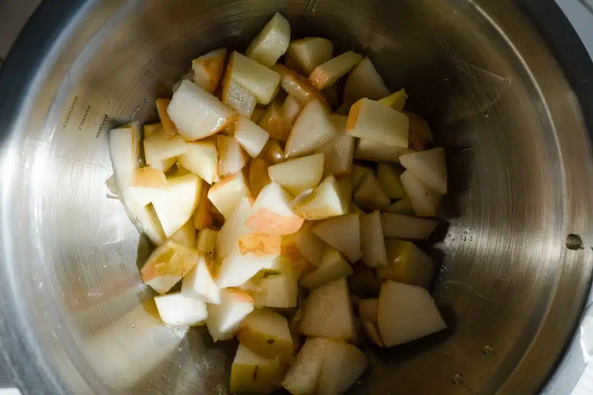 Salade de fruits fraîche contenant des morceaux de figue de Barbarie