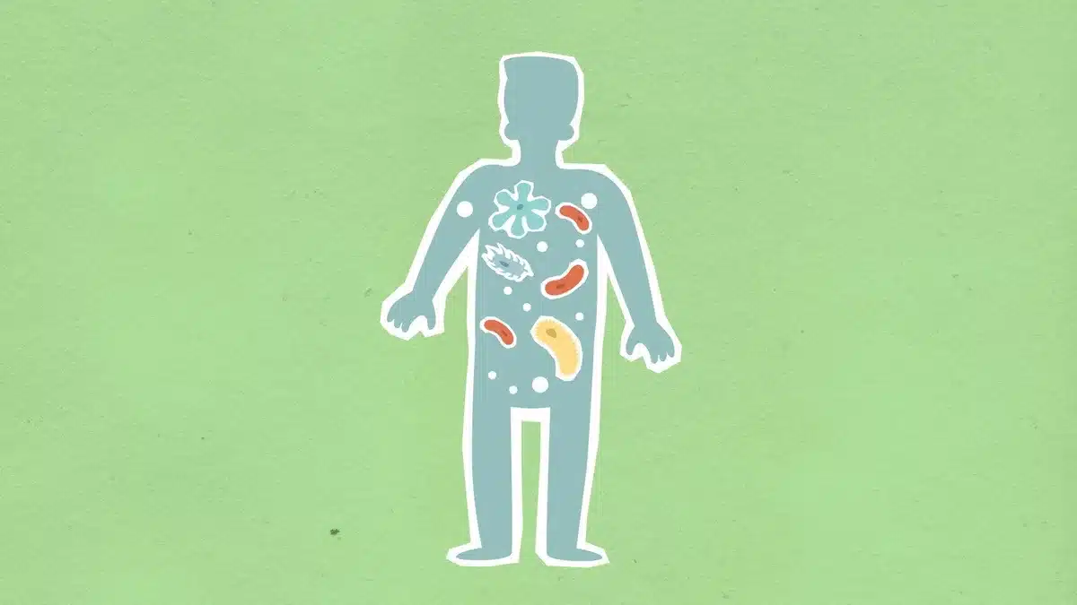 Représentation scientifique du microbiote intestinal avec des bactéries et des cellules