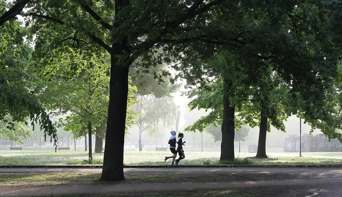Personne en mouvement sur un tapis de marche, démontrant l'effort cardiovasculaire