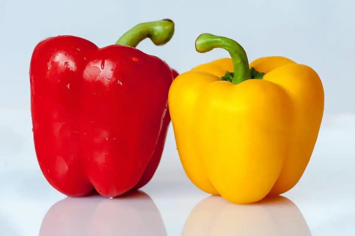 Poivrons frais rangés dans le bac à légumes du réfrigérateur