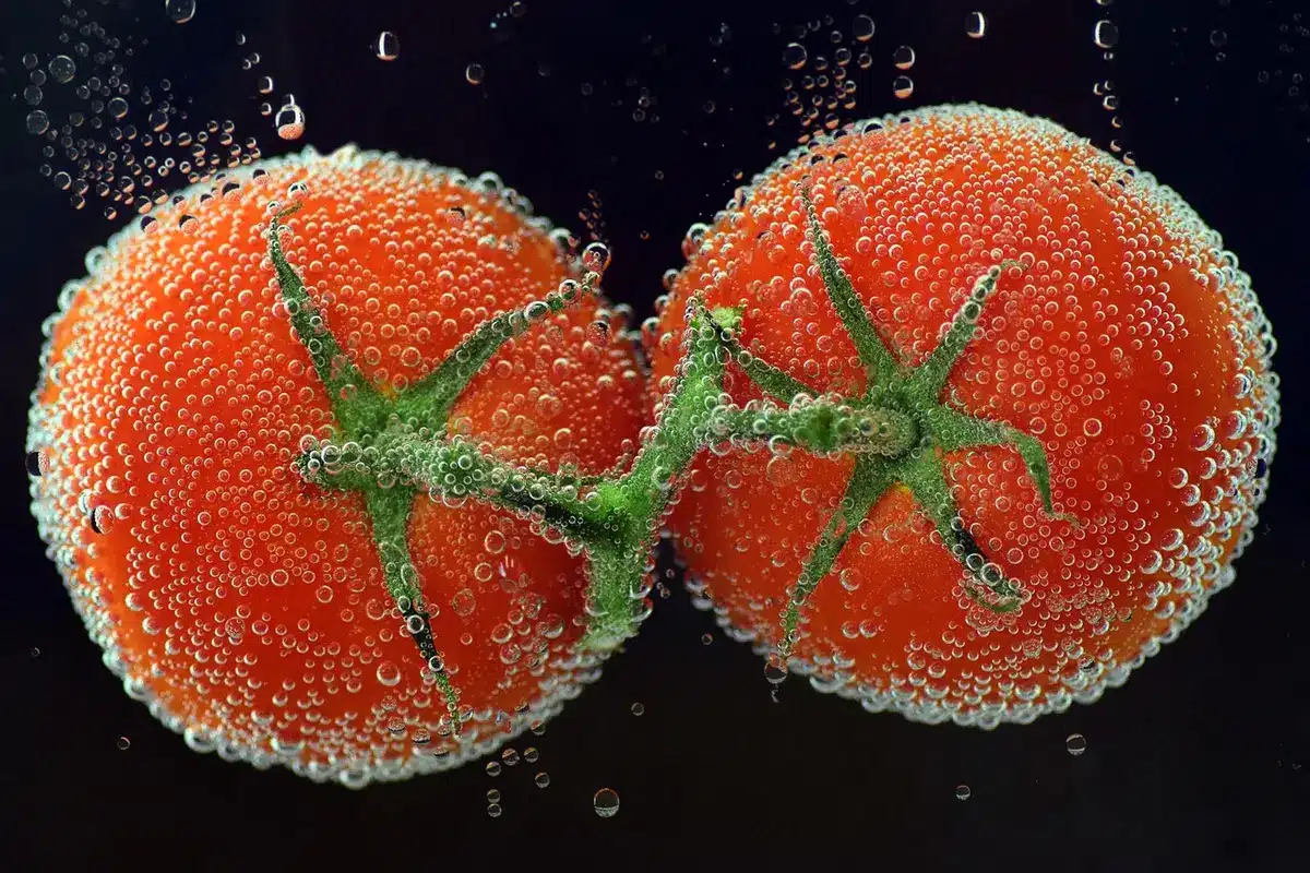 Tomates rondes emballées avec étiquette et code-barres