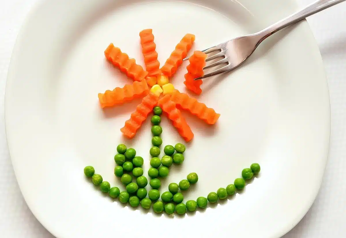 Assiette équilibrée riche en protéines et oméga-3 sur une table en plein jour