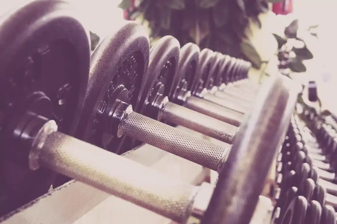 Haltères sur un banc de musculation dans une salle lumineuse avec grandes fenêtres