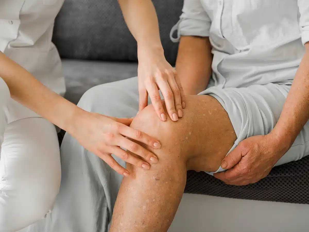 Modèle anatomique du genou montrant le ligament croisé antérieur
